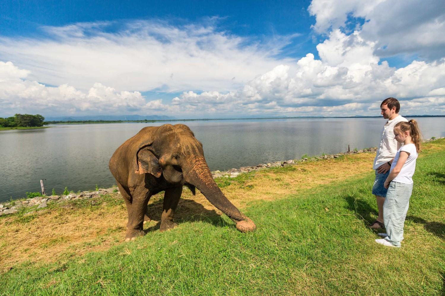 A Father And Daughter With An Elephant In Udawalawe National Park Sri Lanka