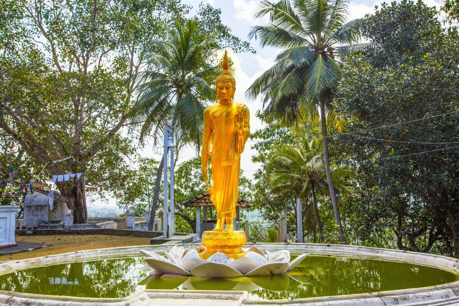 A Golden Statue Of Buddha In Sri Lanka