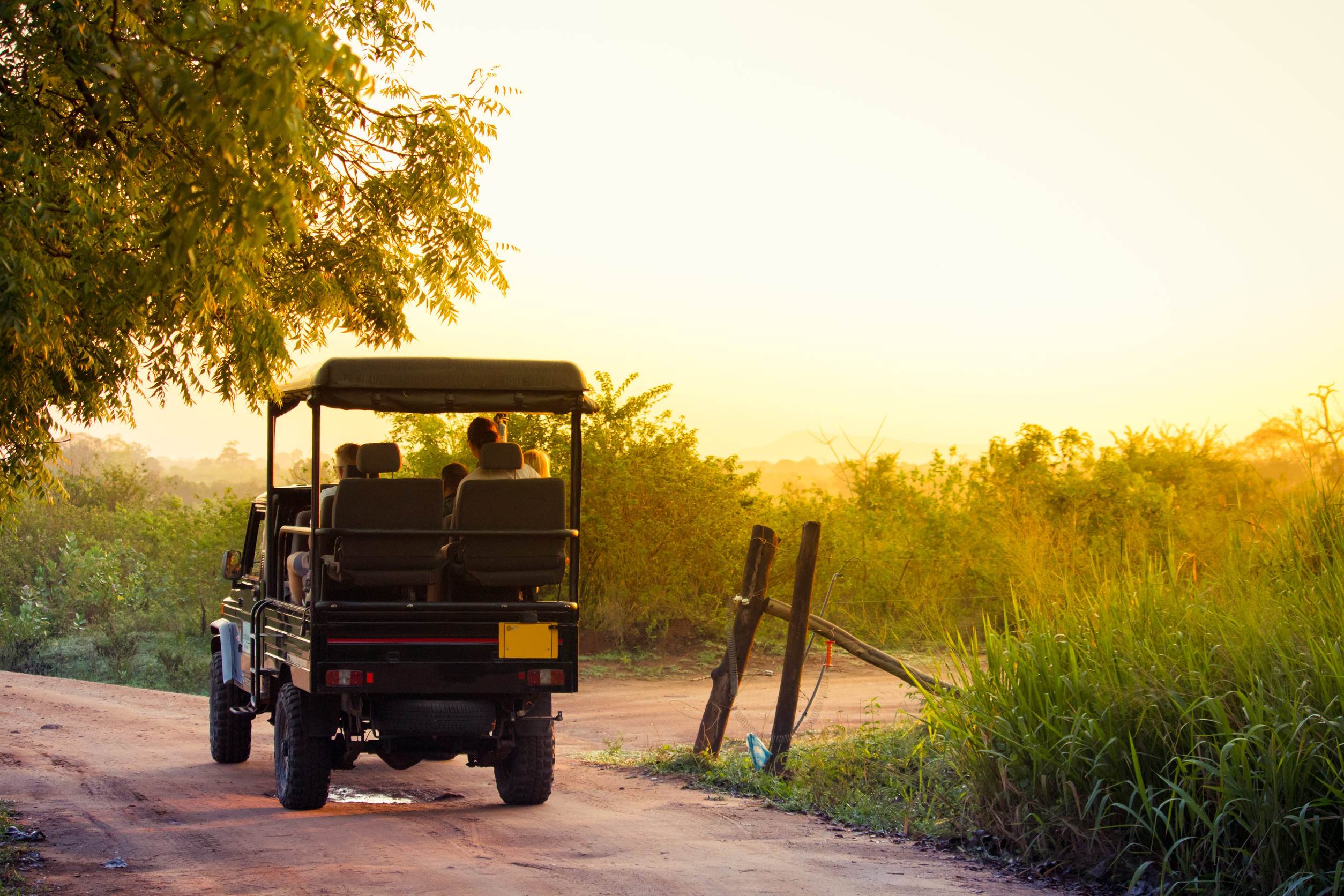 A Safari Jeep in Udawalawe National Park