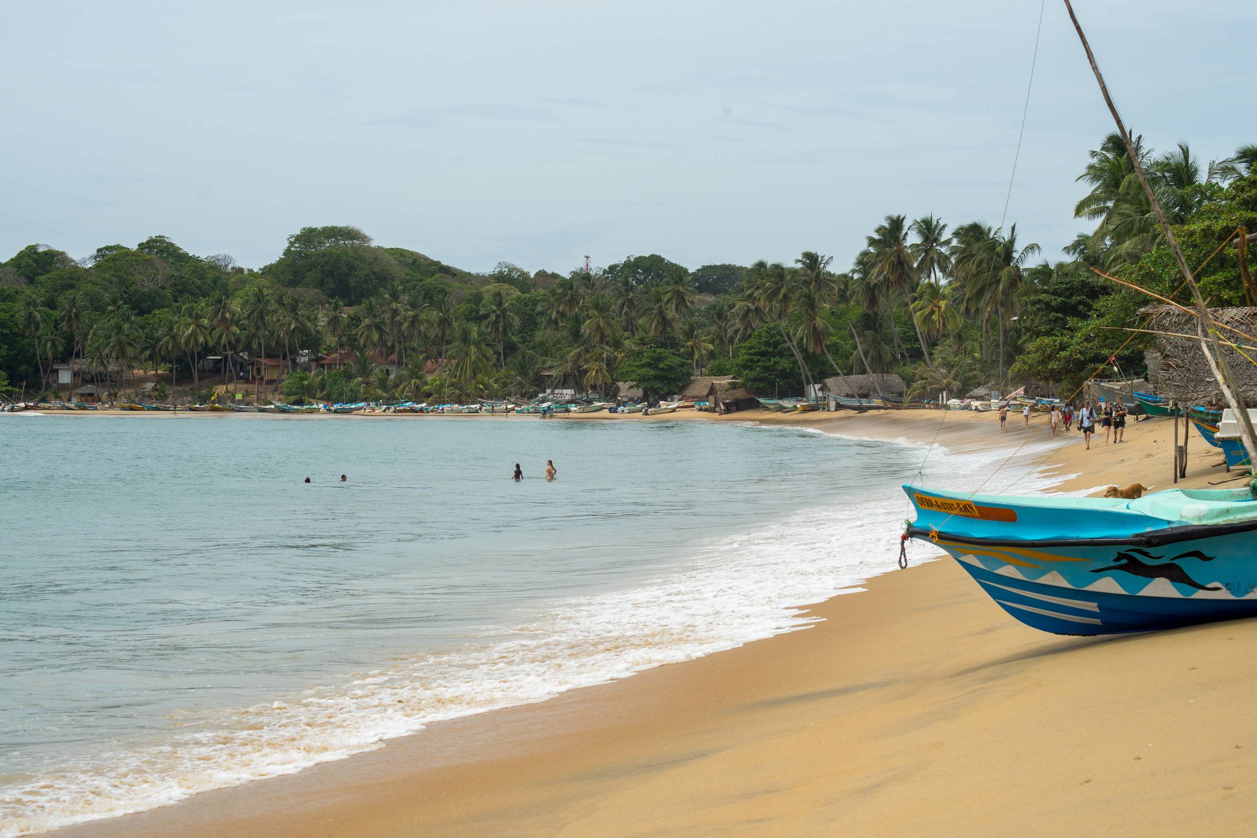 Arugam Bay