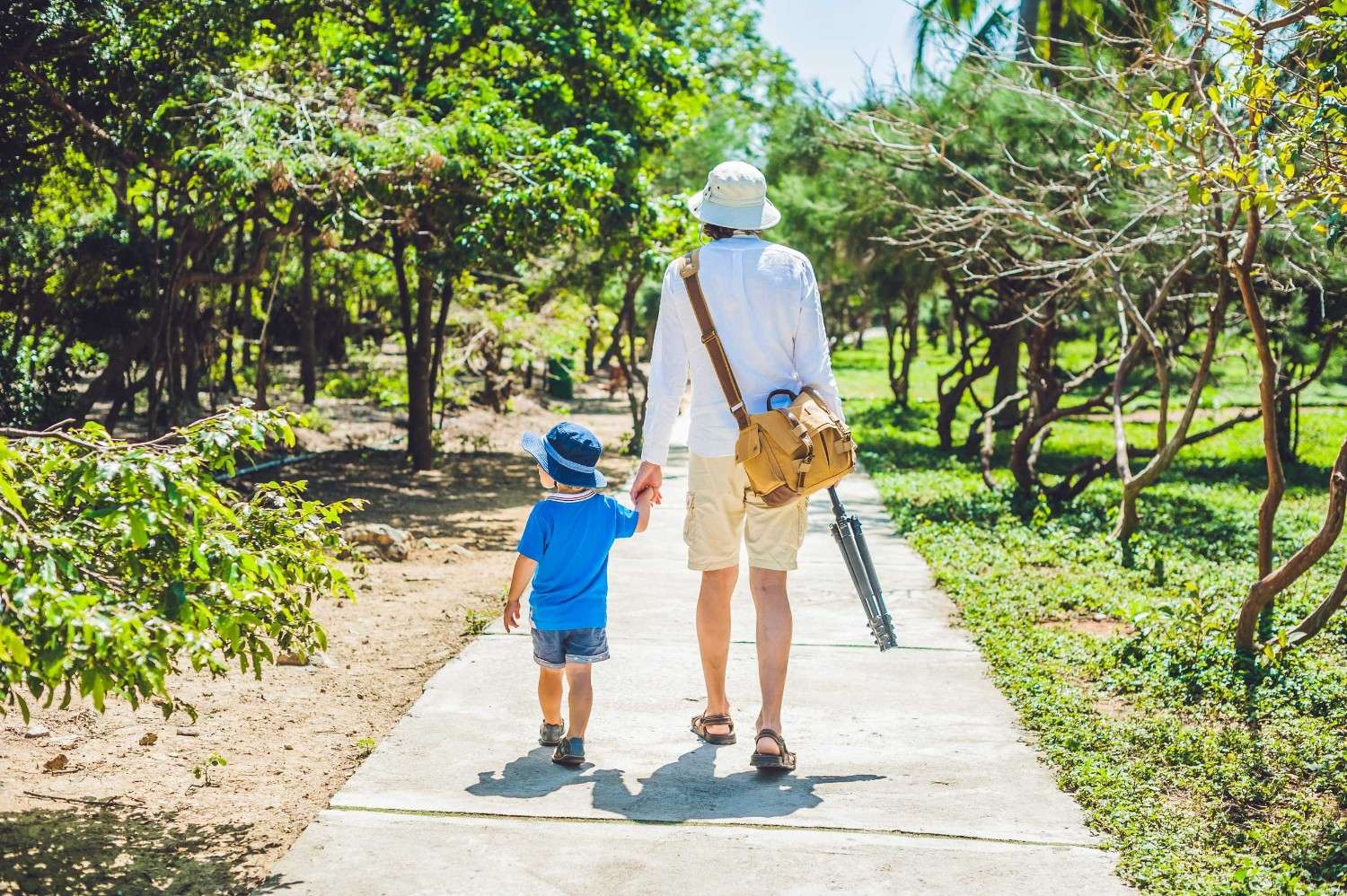 Father And Son Walk Along The Park