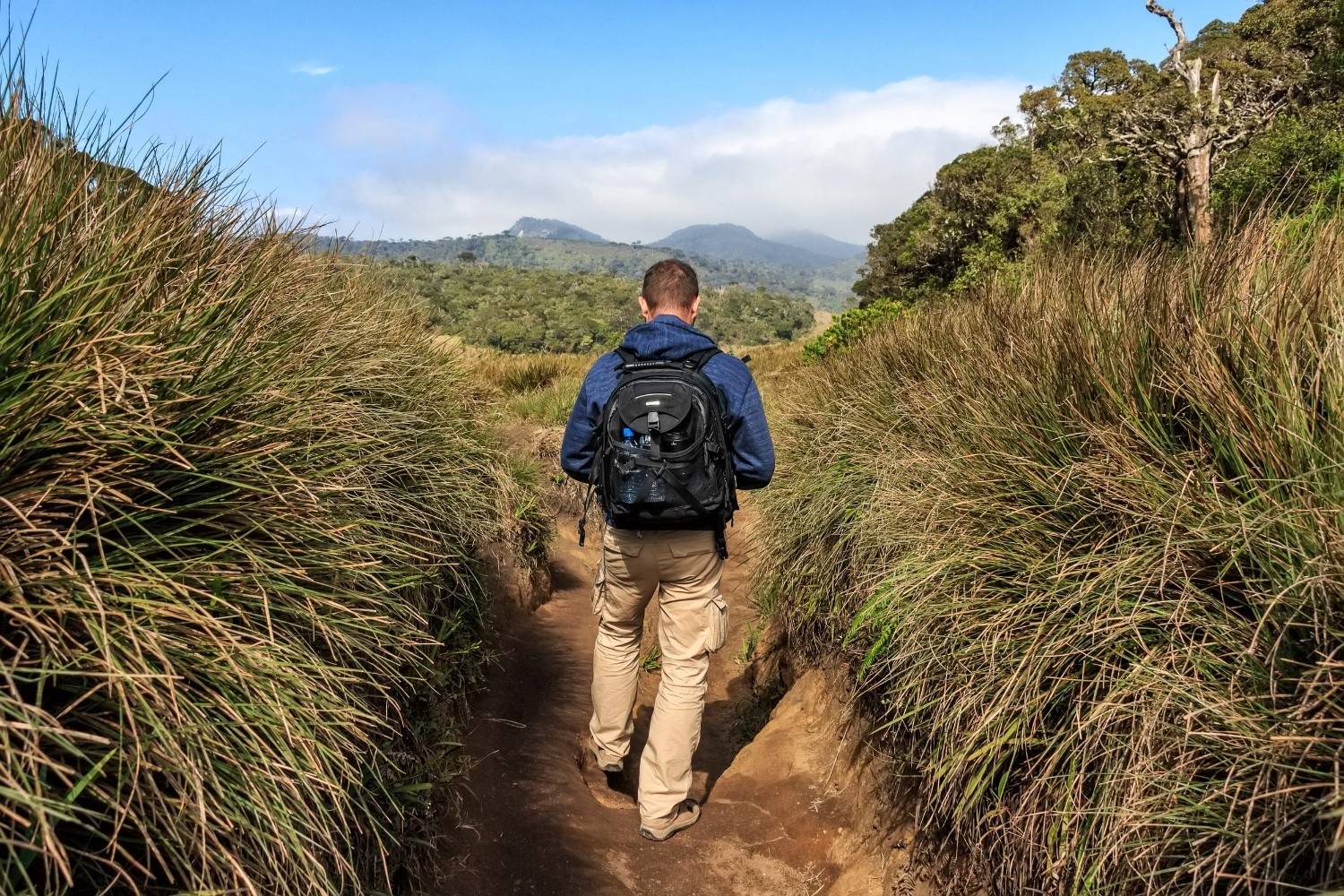 Man hiking through a savannah region in Sri Lanka