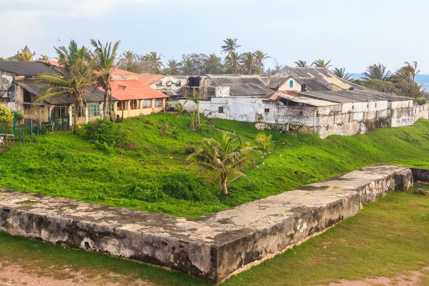 Nature overtaking Galle Fort in Sri Lanka