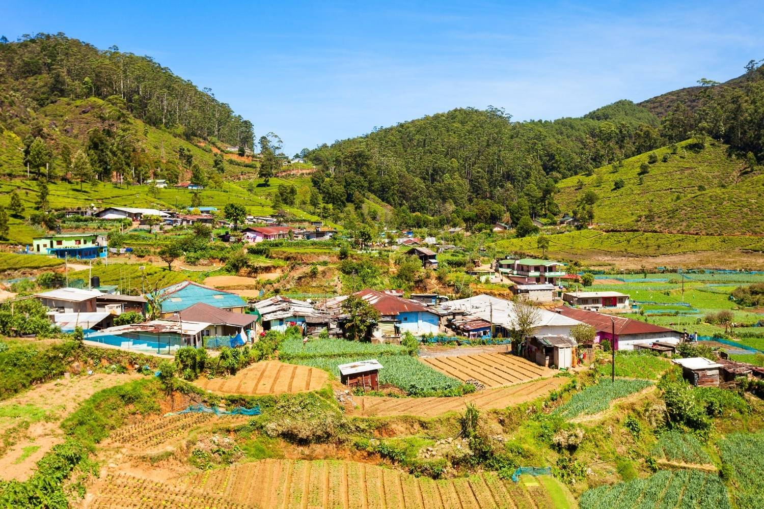 Nuwara Eliya surrounded by fields