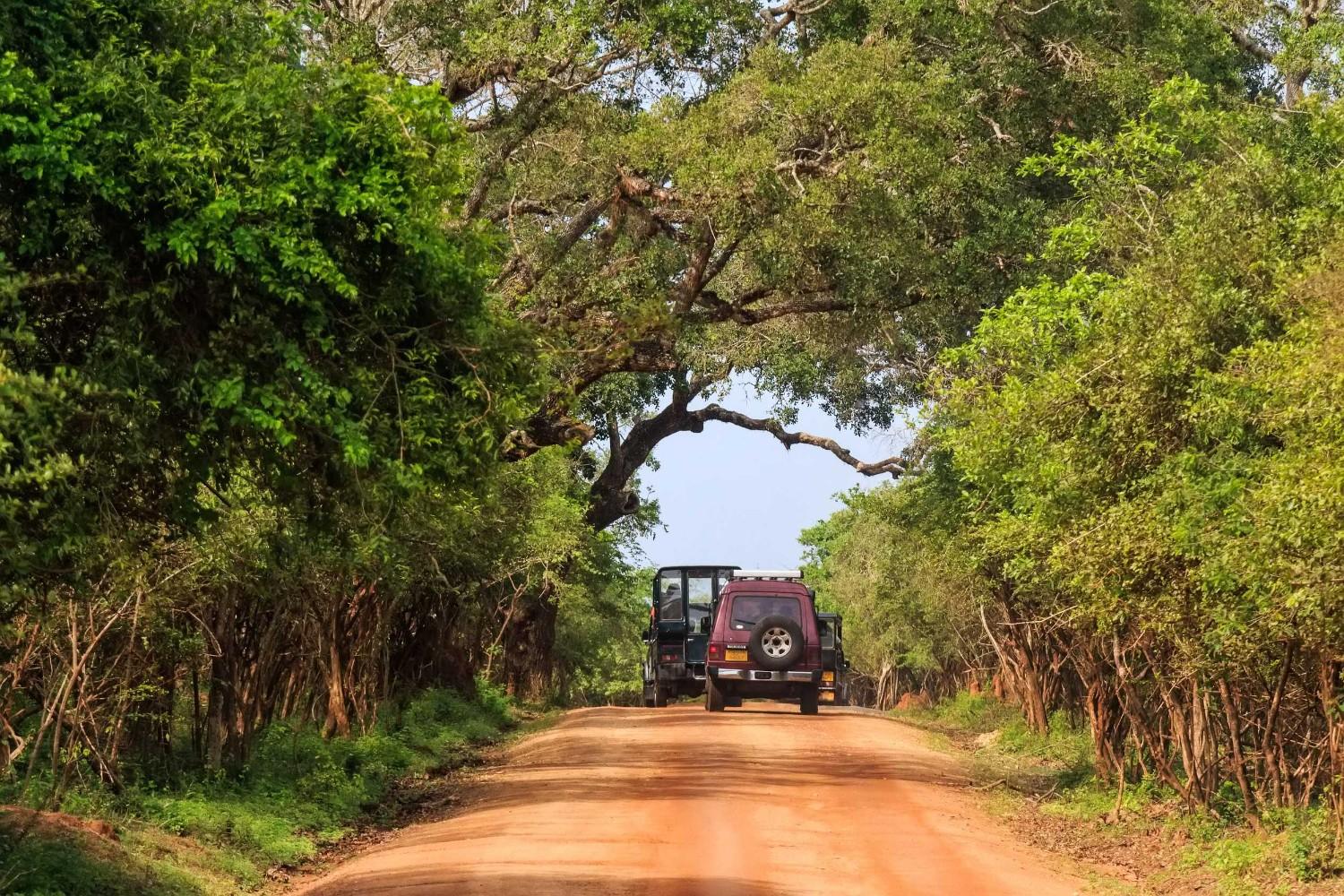 Tourist In Yala National Park Sri Lanka