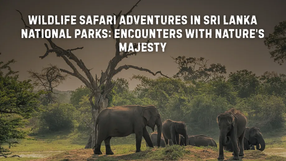 Wildlife Safari Adventures in Sri Lanka's National Parks